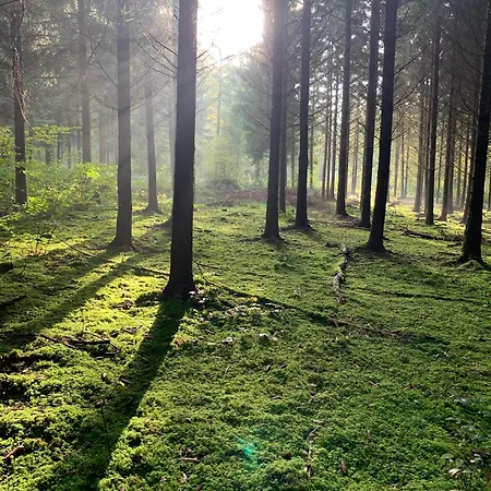 Au Trente-six 別荘 デュルビュイ