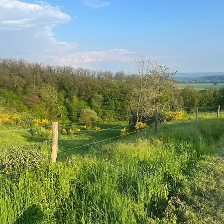 Au Trente-six Durbuy