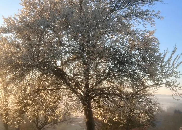 Casa vacanze Au Trente-six *